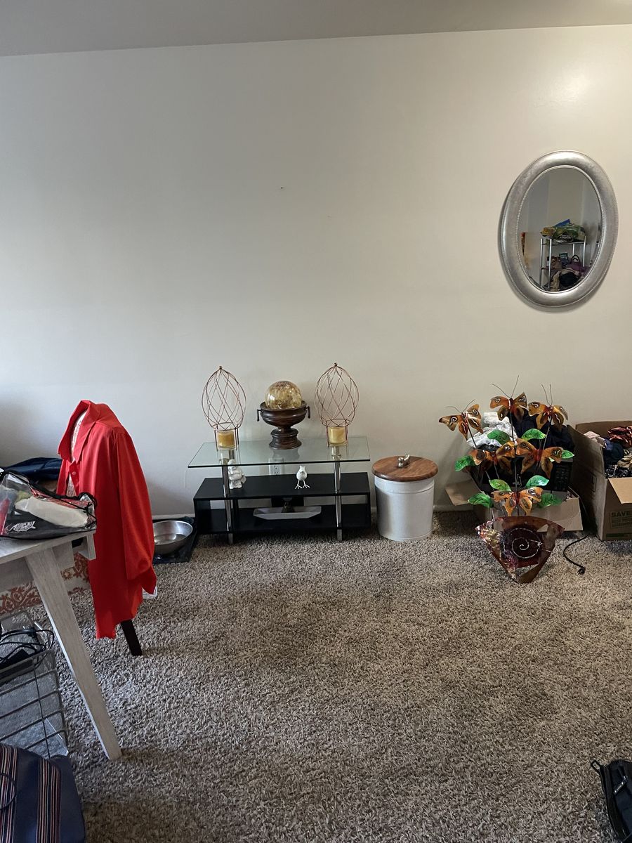 Main image 8