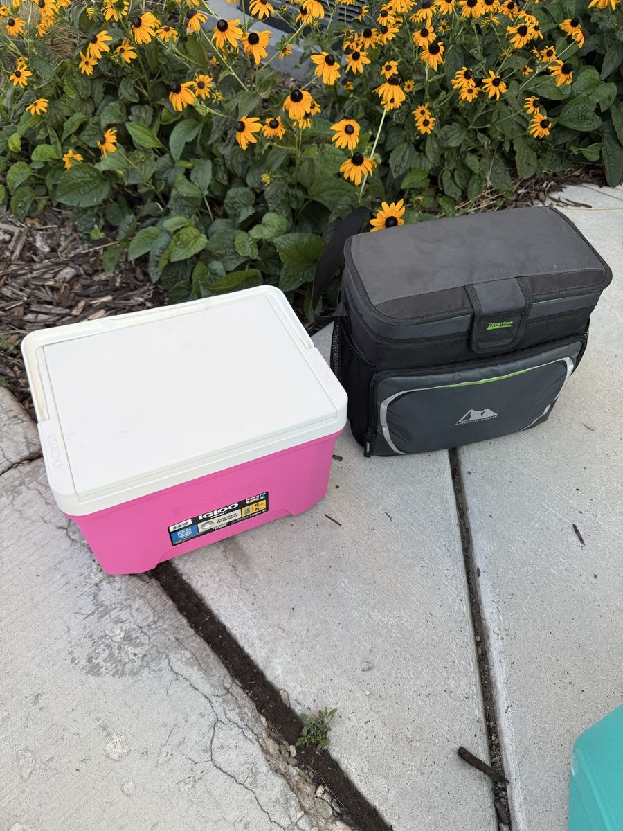 Igloo Laguna 9-Qt Pink Cooler & Arctic Zone Zipperless Soft Cooler Bundle