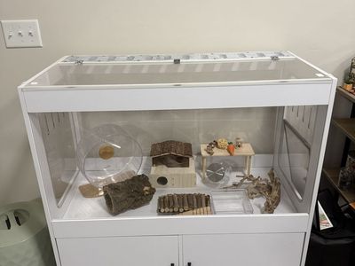 Full Hamster Setup