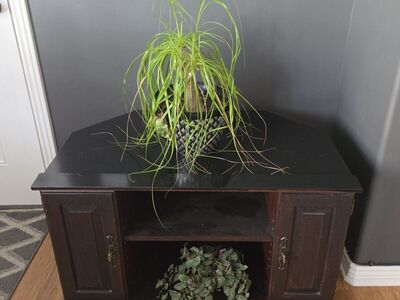 TV stand