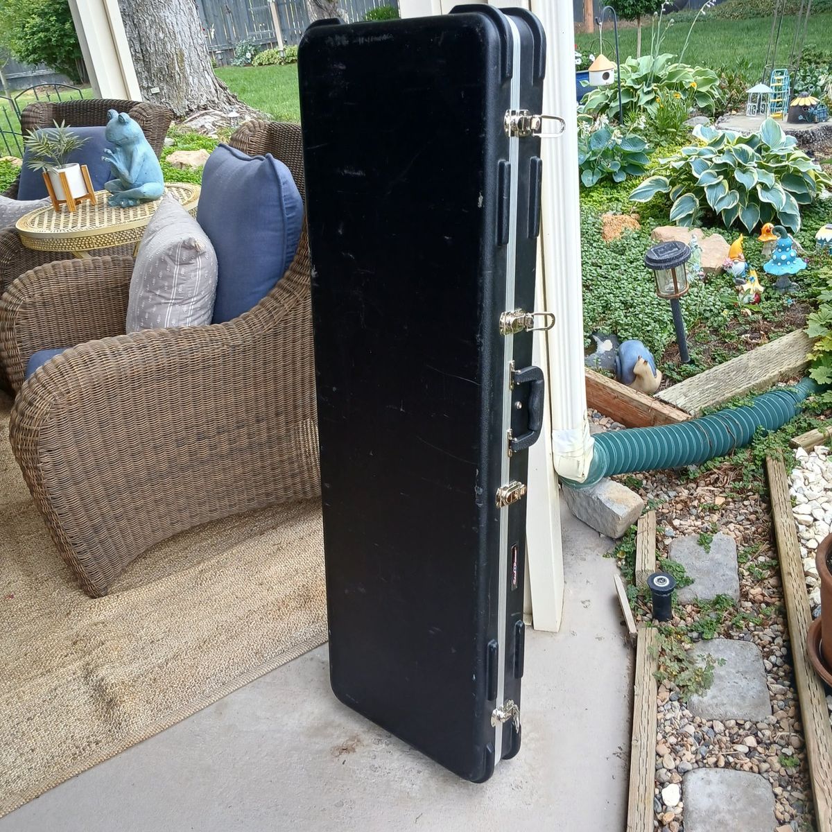 Road Runner Bass Case