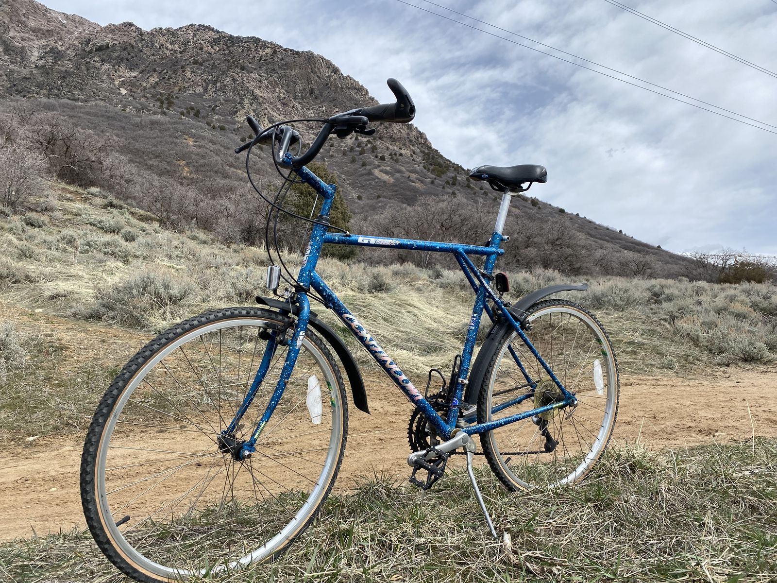 1991 GT Continuum Mens XXL 24 Vintage Bike