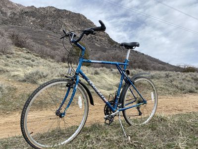 1991 GT Continuum Mens XXL 24 Vintage Bike