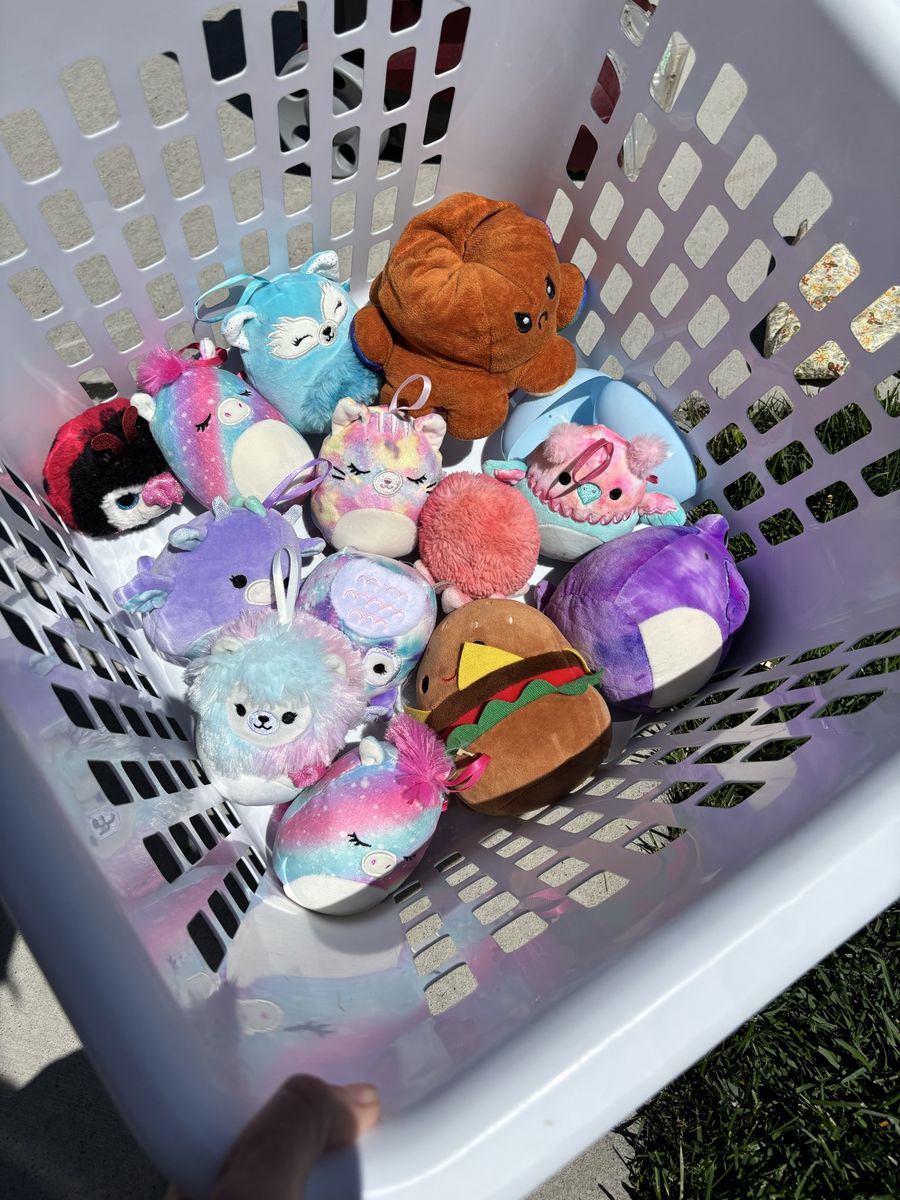 Little Squashmallows