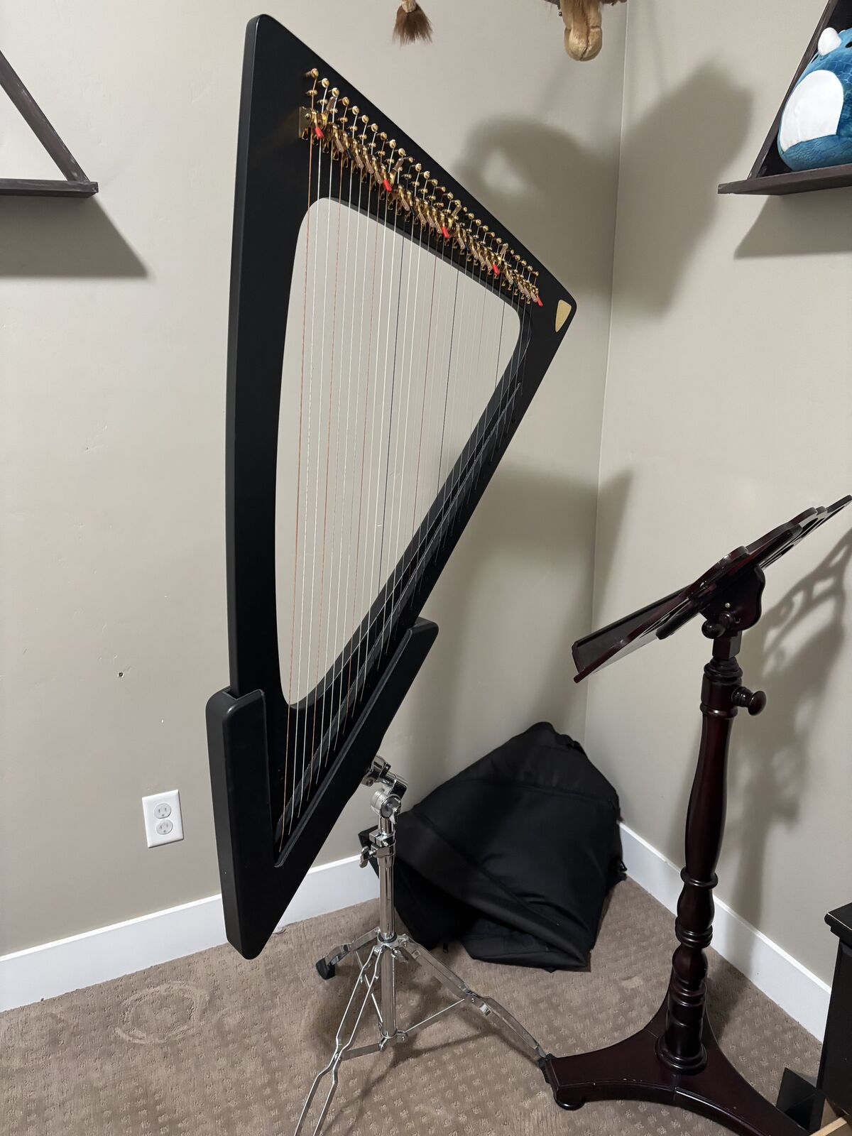 Delta Electric Harp
