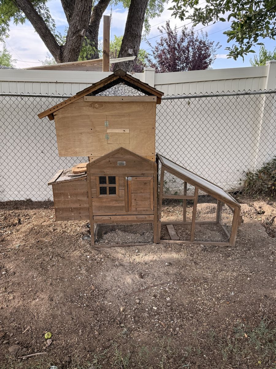 FREE Chicken Coop