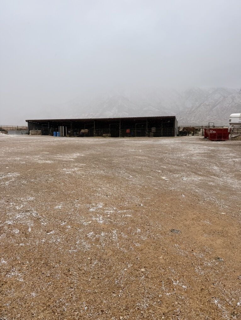 Stalls For Rent In Mona