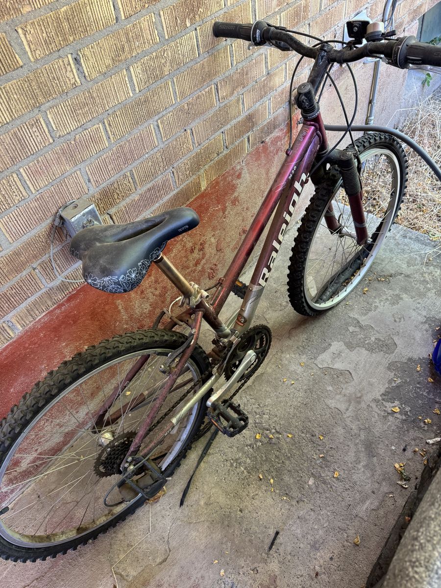 Raleigh Bike