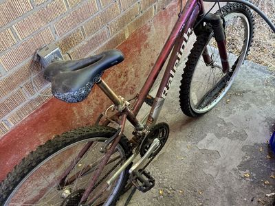Raleigh Bike
