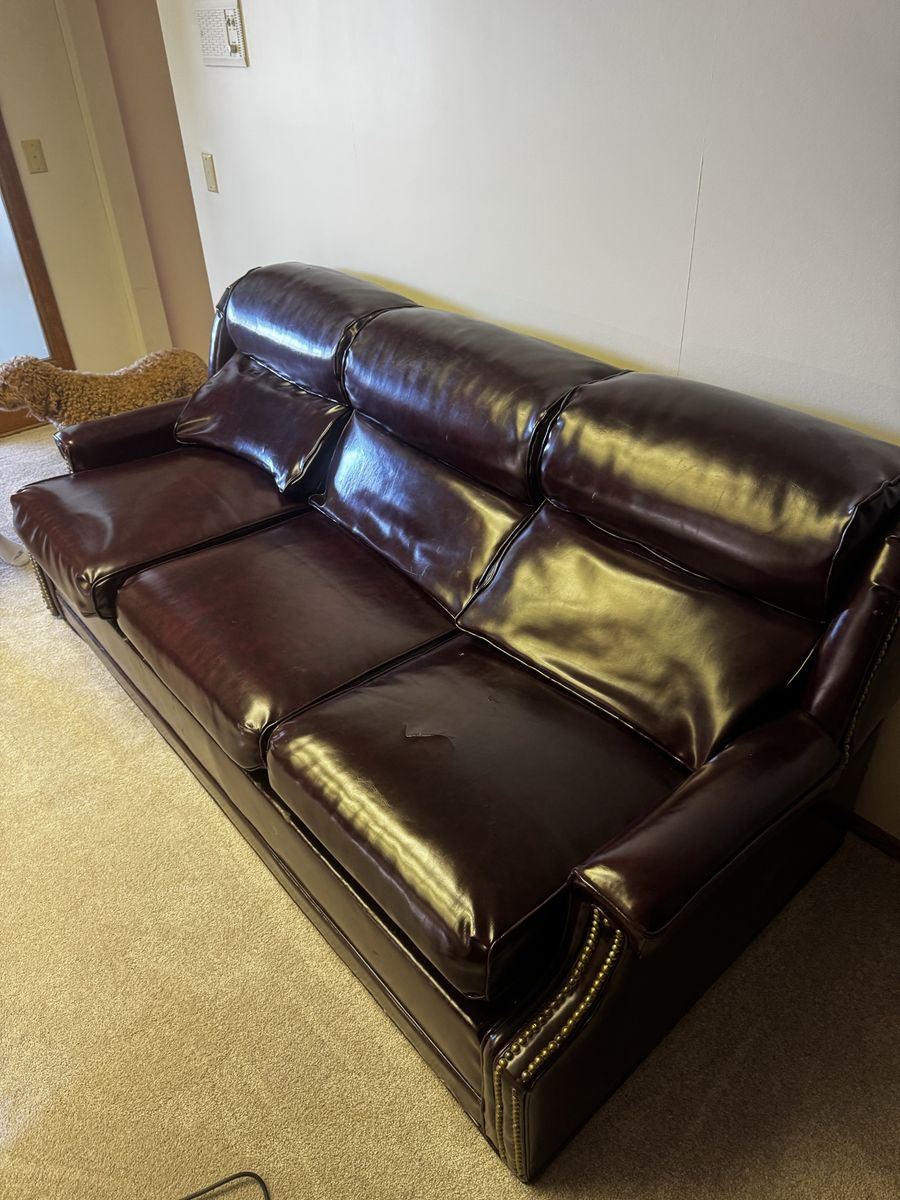 Leather couch with pullout