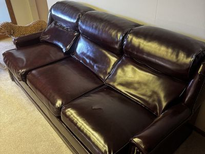 Leather couch with pullout