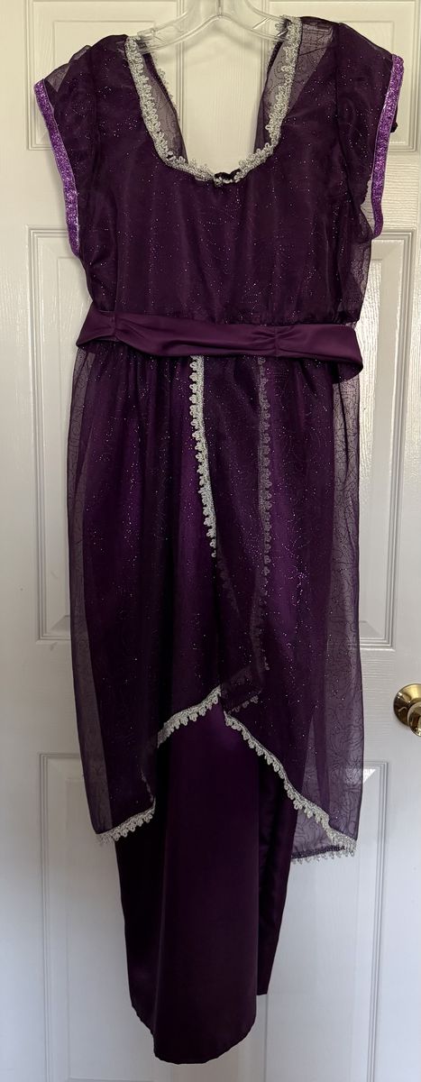 Homemade Purple Glittery Costume Dress with Silver Trim and Rosettes