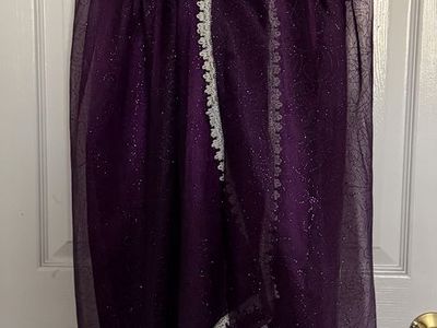 Homemade Purple Glittery Costume Dress with Silver Trim and Rosettes