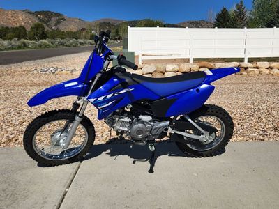 2026 Yamaha TTR110