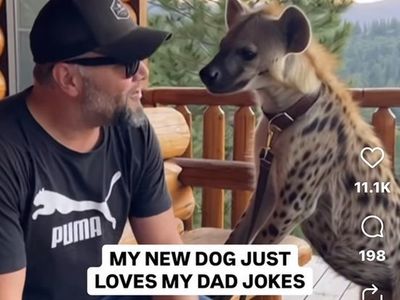 thor Toy Hauler 5Th Wheel