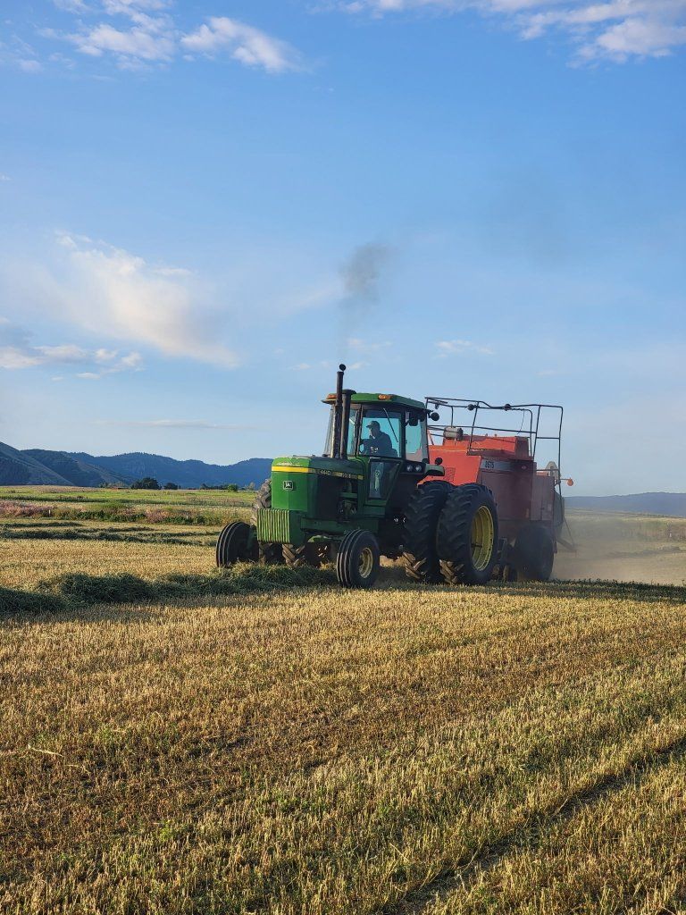 3x3 alfalfa bales