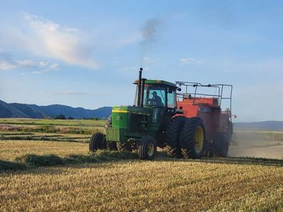 3x3 alfalfa bales