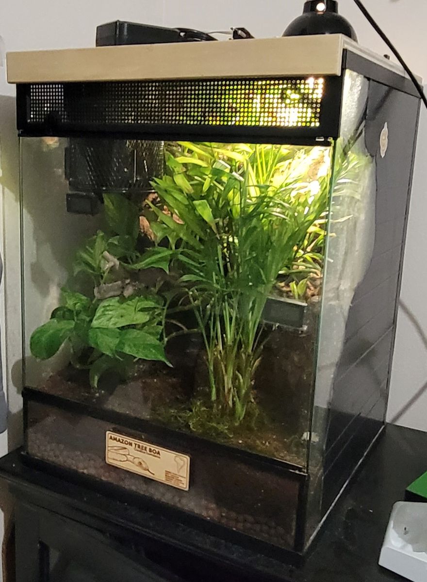 Bio-active Terrarium 24x18x18