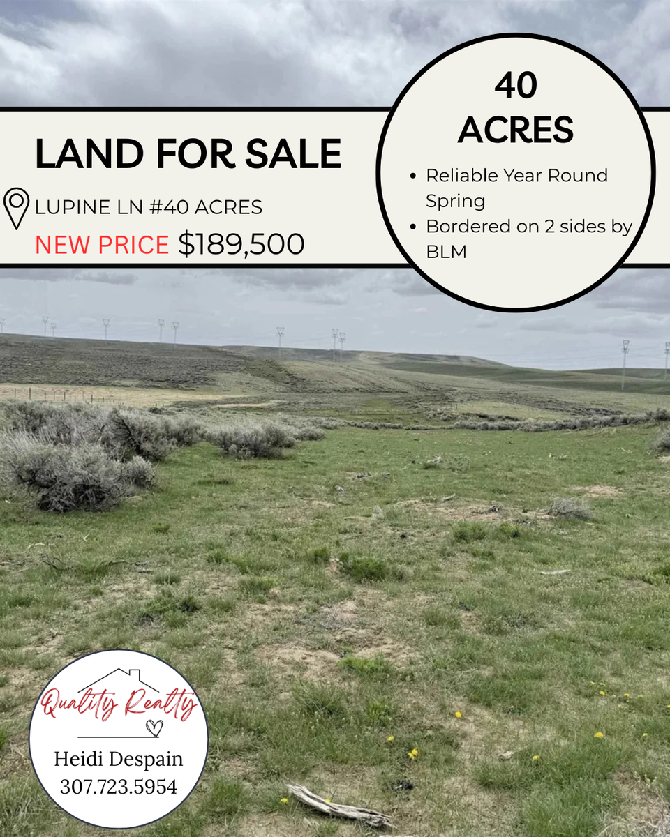 Lupine Ln #40 Acres