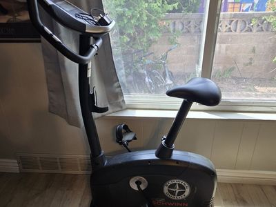 Schwinn 125 exercise bike