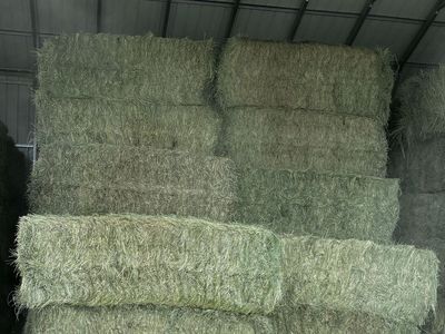 Feeder Cow Grass Hay - 3x3x8 Bales - Pickup or Delivery