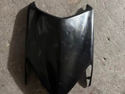 Trx 450 2005 Oem Hood