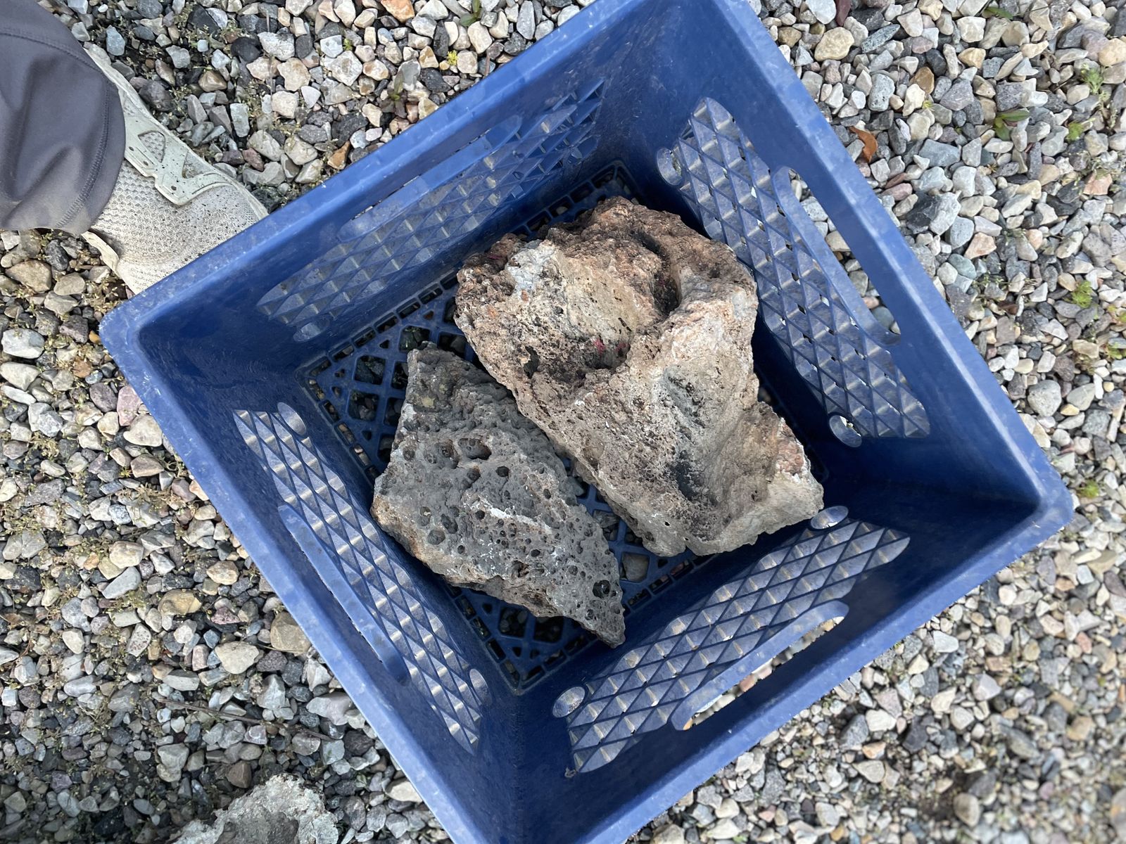 Lava Pieces For Terrarium