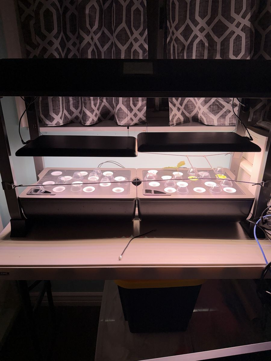 Aerogarden 24