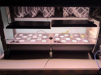 Aerogarden 24