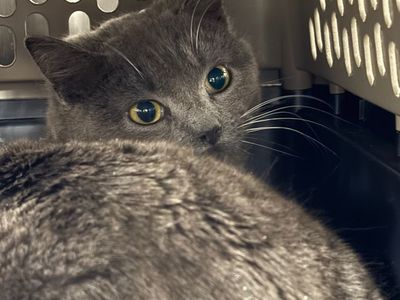 Hello my name is Saylor