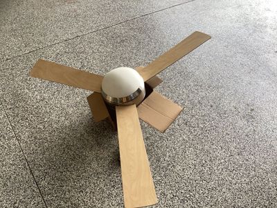 Ceiling Fan With Light