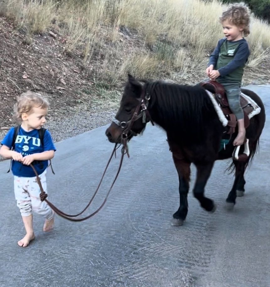 Mini Mare