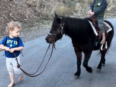 Mini Mare