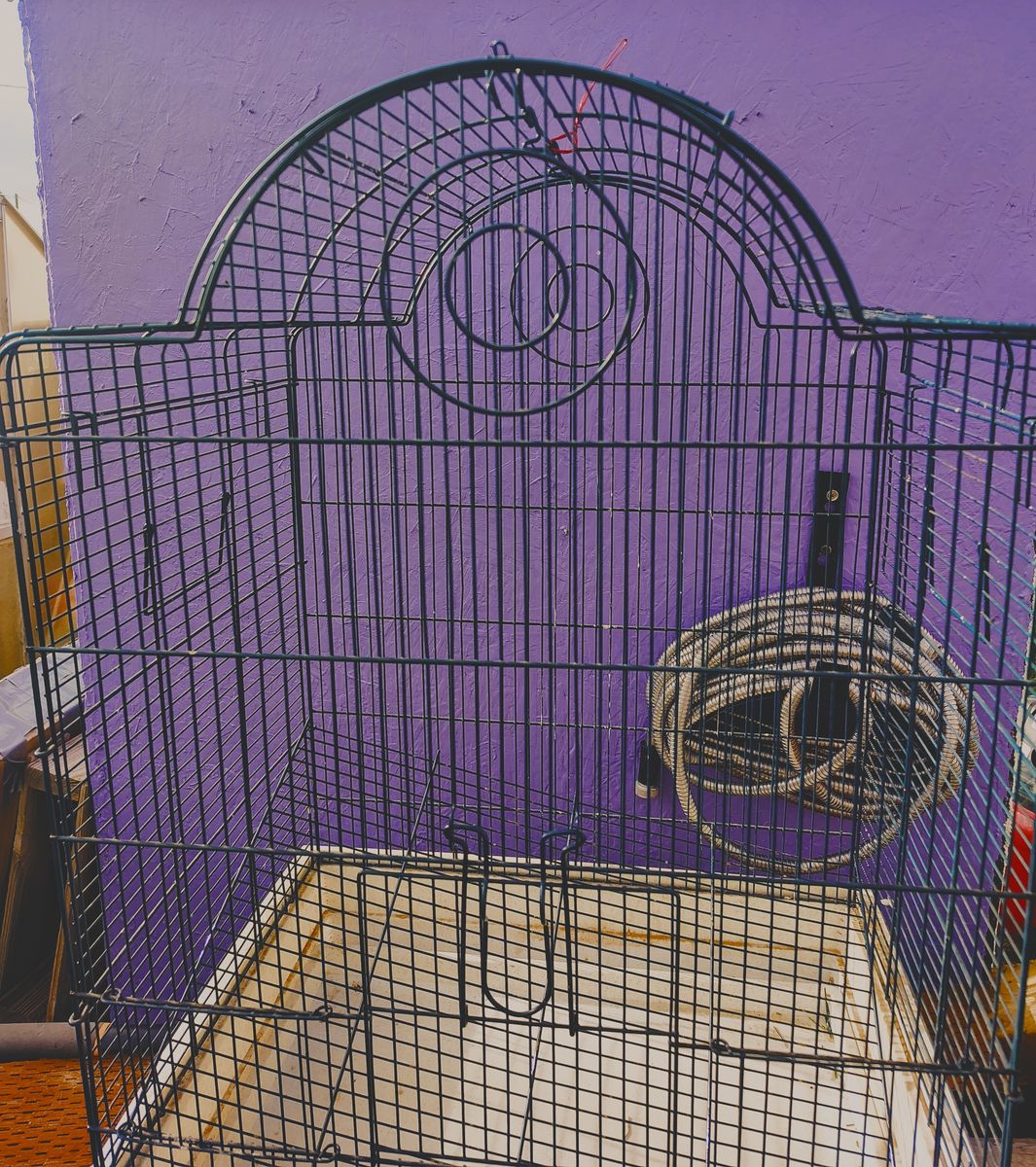Bird Cage
