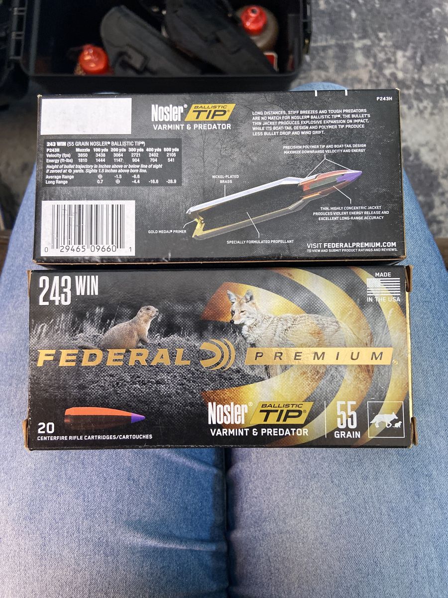 243 win, 55 grain