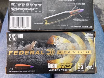 243 win, 55 grain