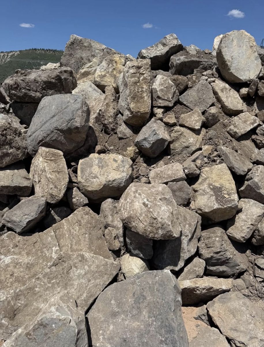 Main image 6