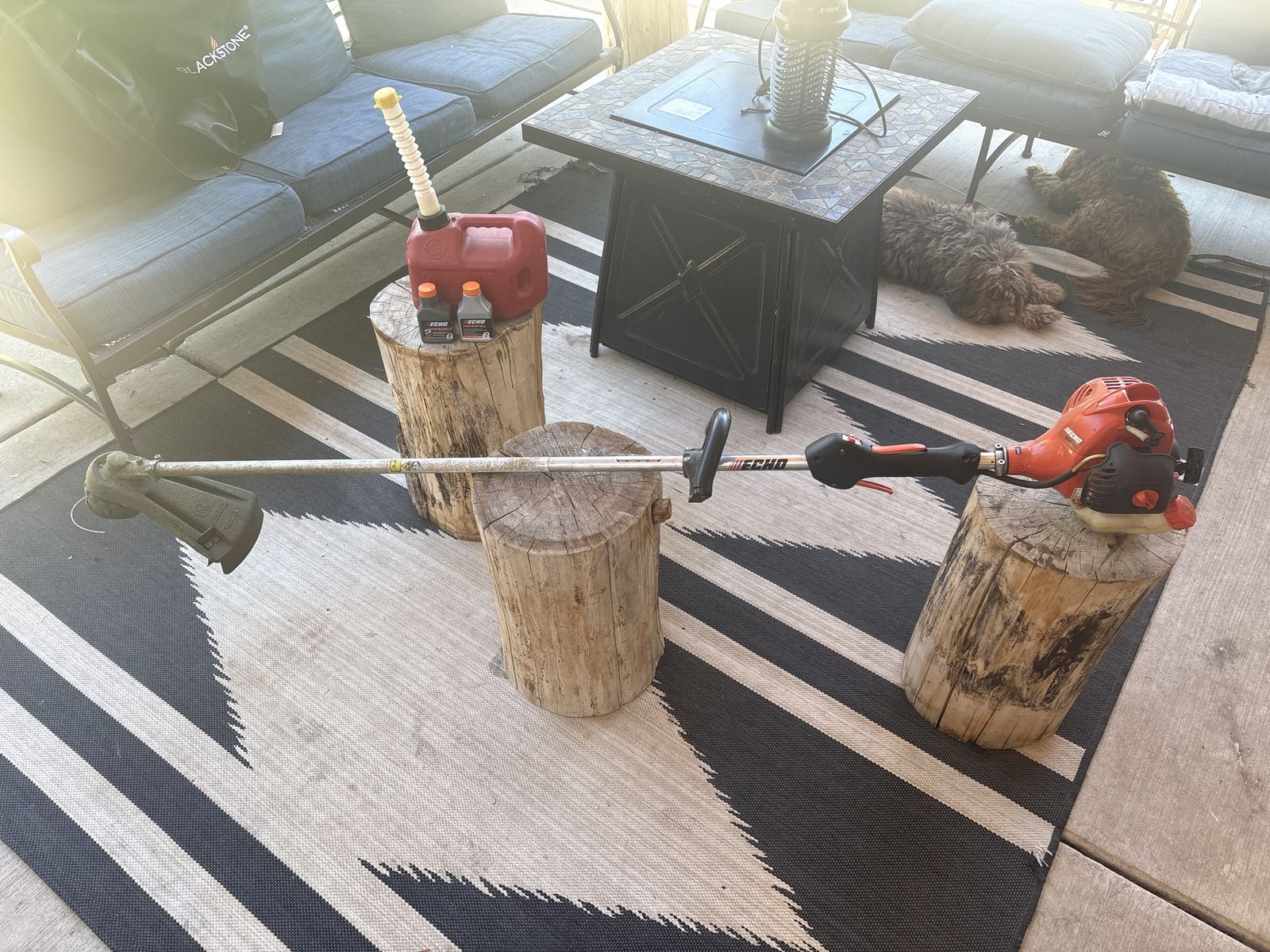 ECHO SRM 225 trimmer