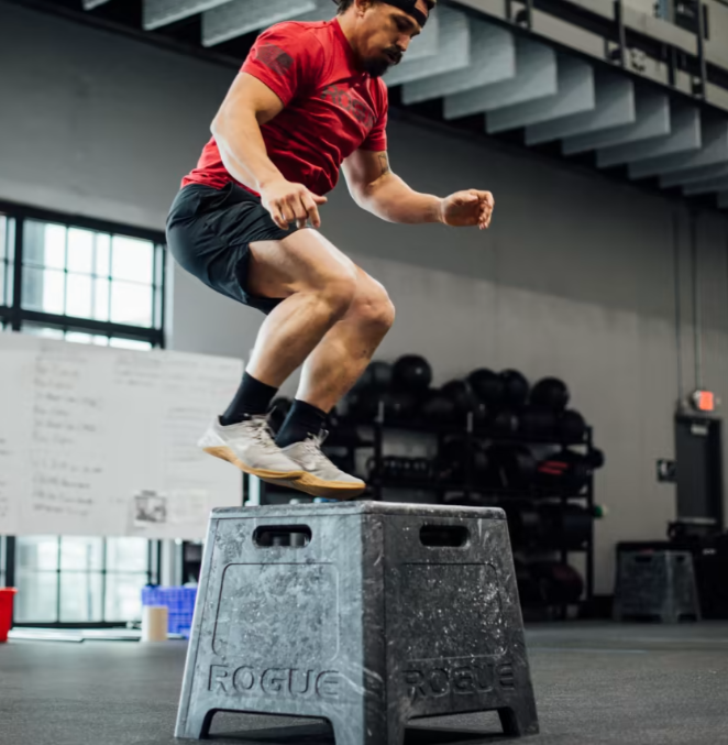 Rogue Resin Plyo Box 24" New in Box