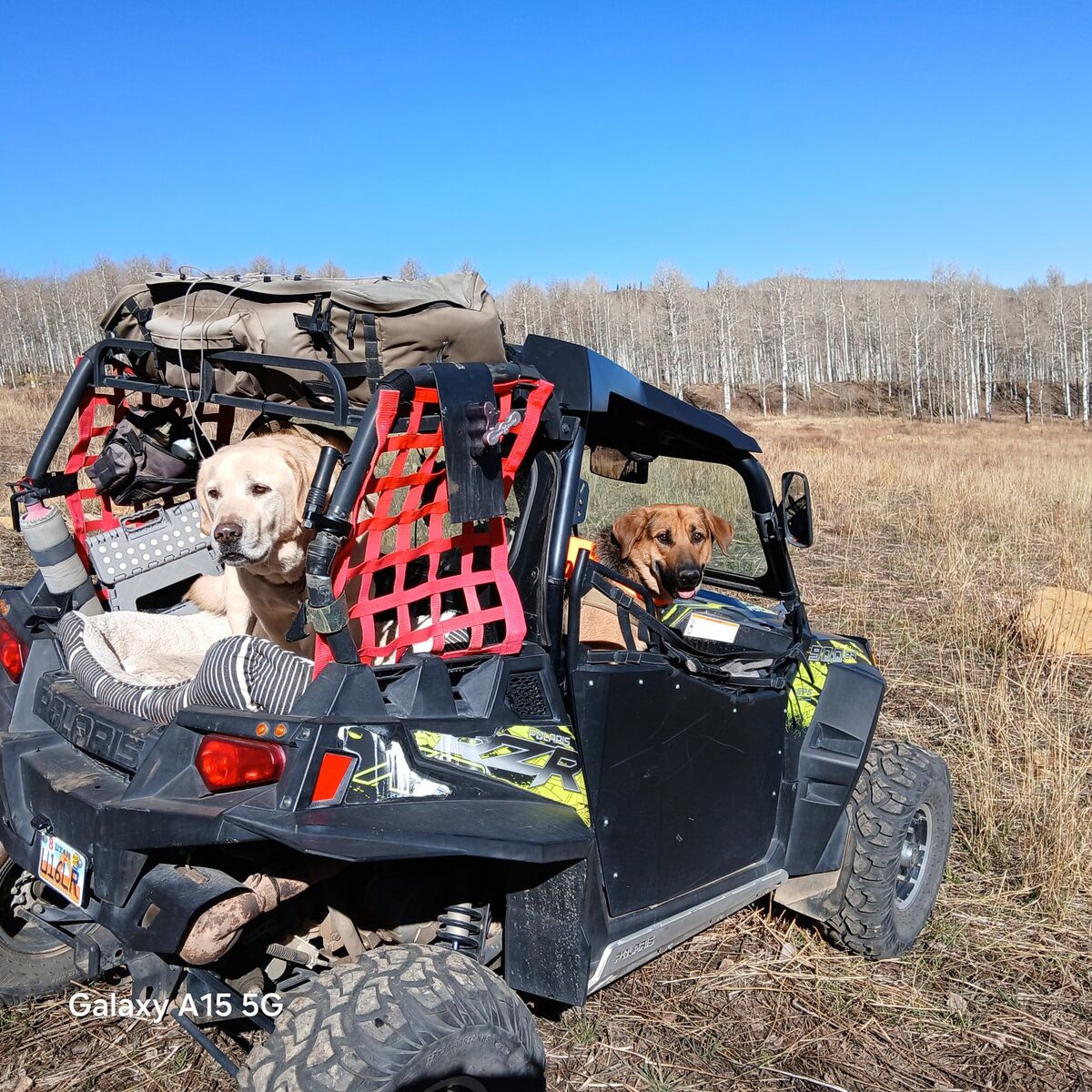 2014 RZR 900 XP and trailer