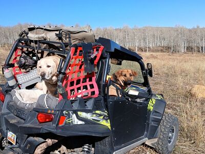 2014 RZR 900 XP and trailer