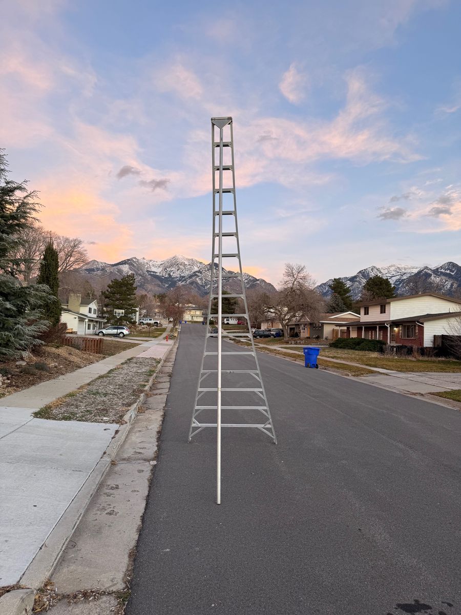 16' Orchard Ladder - Aluminum