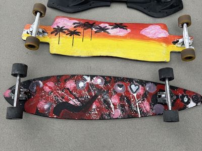 Ripstick Skateboard /Longboards