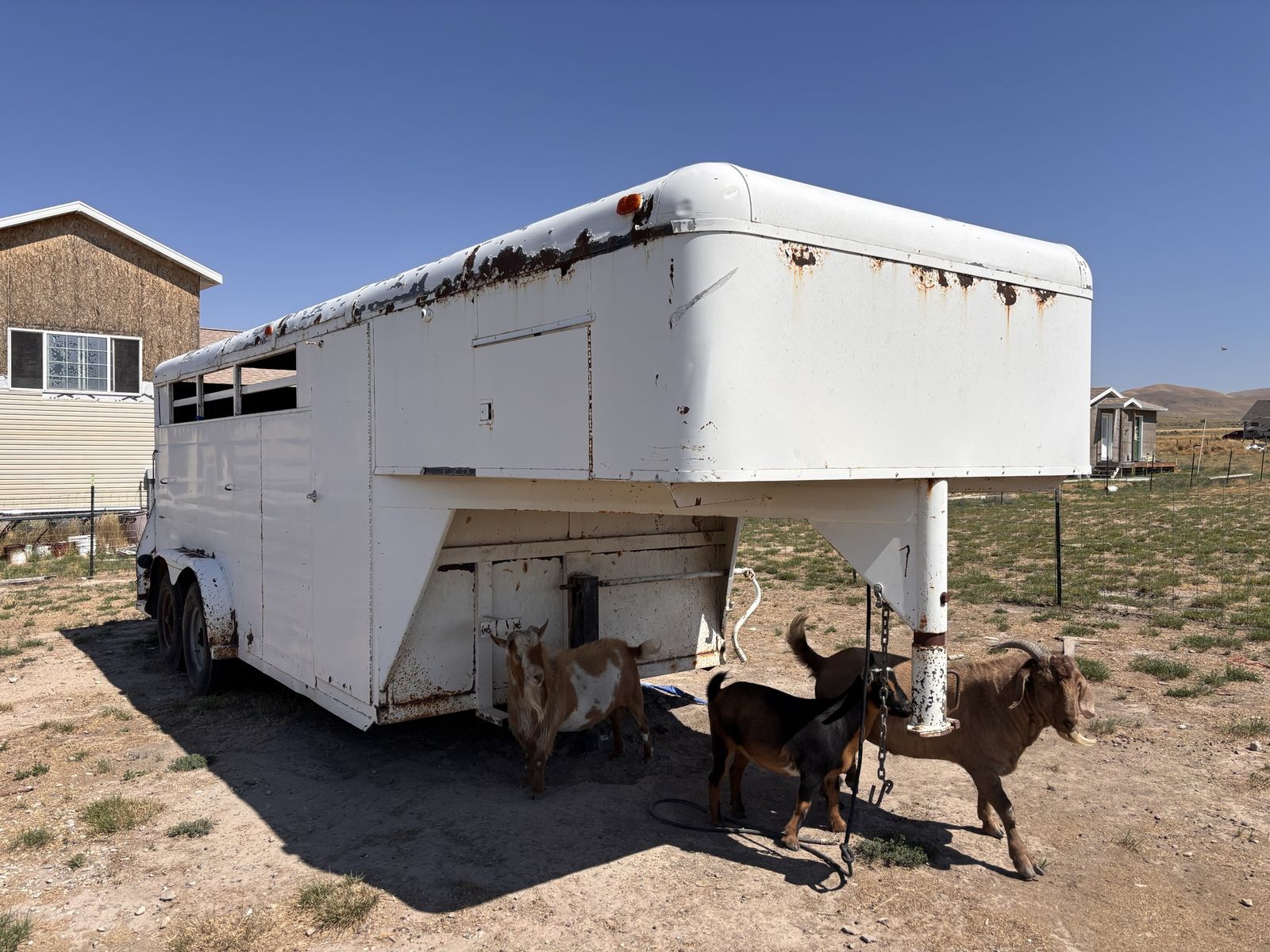 Gooseneck Horse trailer