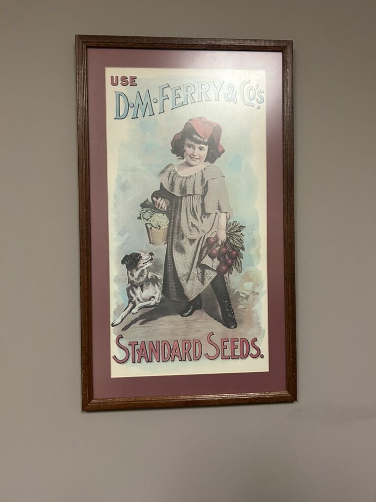 Vintage Frames pictures