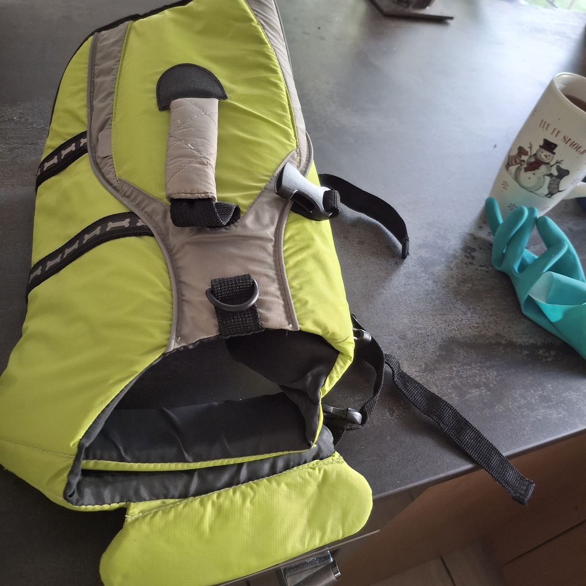 Outward Hound Dog Life Vest