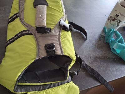 Outward Hound Dog Life Vest