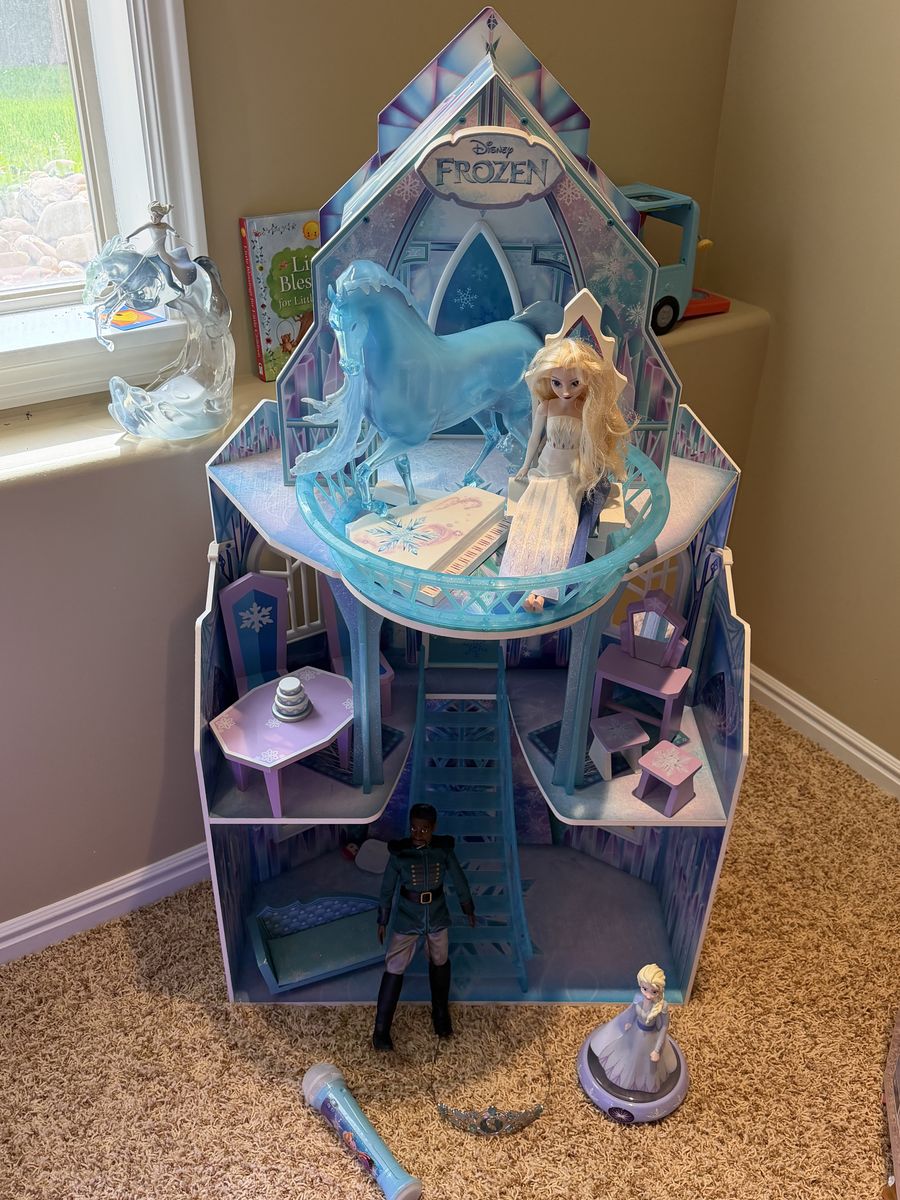 Frozen doll house