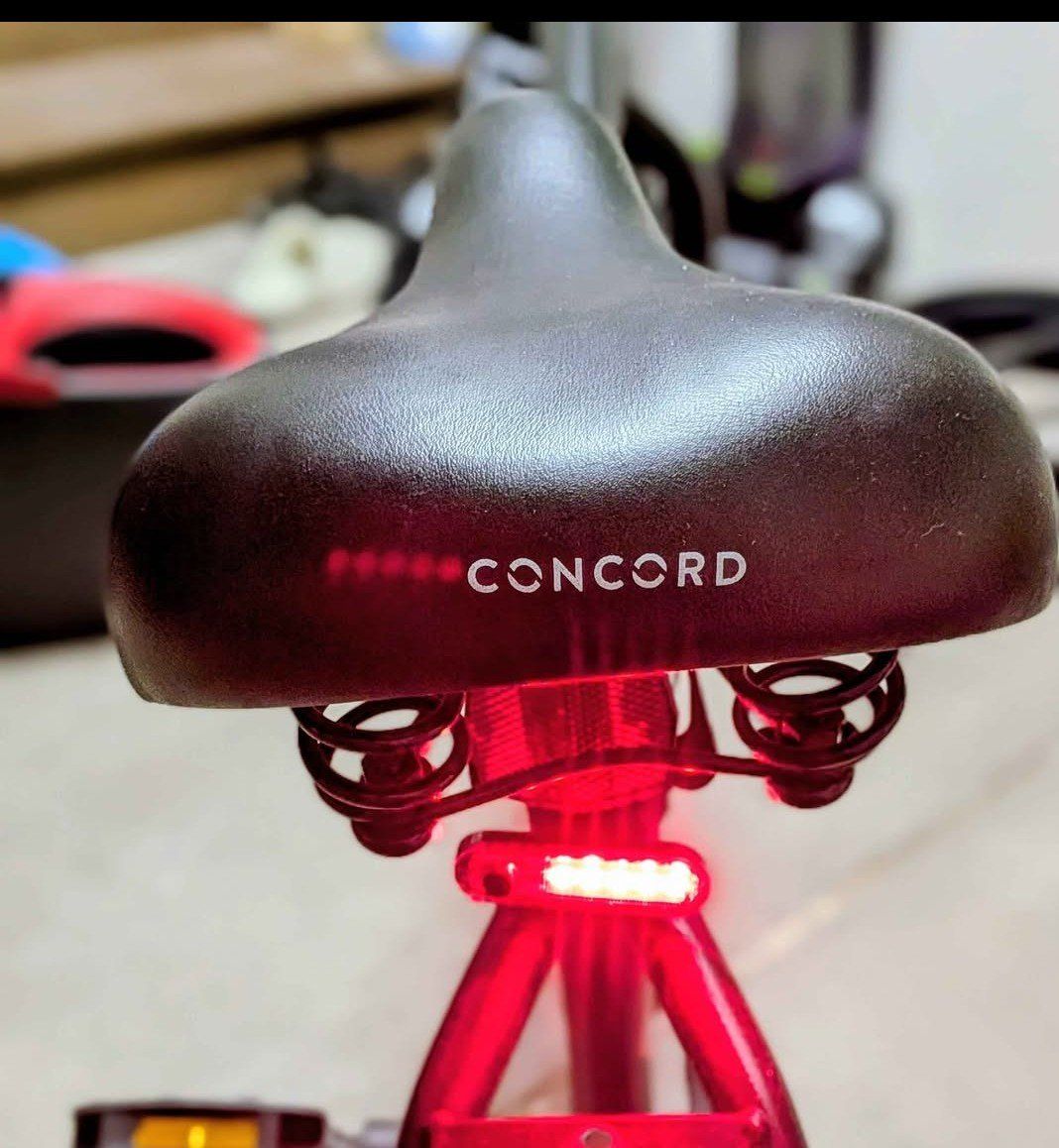 Concord Cruiser Bicycle - Black with Red Accents, Front & Rear Fenders