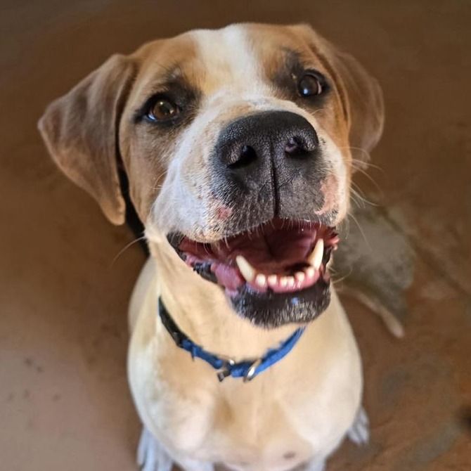 Hello my name is Harmony